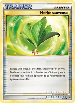 Herbe sauveuse 79/95 Déchaînement