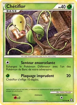 Chétiflor 57/102 Triomphant