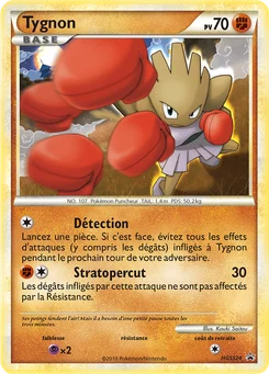 Tygnon HGSS24 Promo HGSS