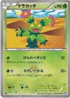 Maracachi 6/70 Plasma Gale
