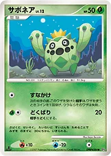 Cacnea 014/070 Dawn Dash