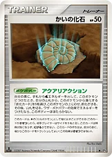 Fossile Nautile 130/070 Moonlit Pursuit