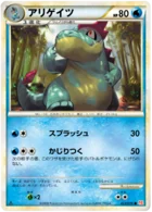 Crocrodil 23/71 HeartGold Collection