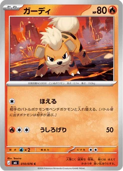 Caninos 10/76 Storm Emeralda