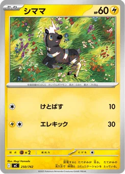 Zébibron 250/774 Starter Decks 100 Battle Collection