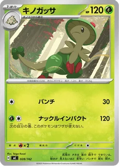 Chapignon 28/774 Starter Decks 100 Battle Collection