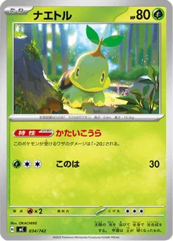 Tortipouss 34/774 Starter Decks 100 Battle Collection