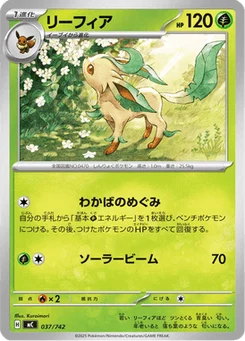 Phyllali 37/774 Starter Decks 100 Battle Collection