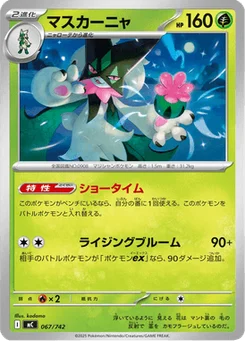 Miascarade 67/774 Starter Decks 100 Battle Collection