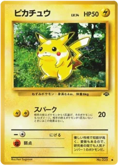 Pikachu 024/048 Jungle (ポケモンジャングル)