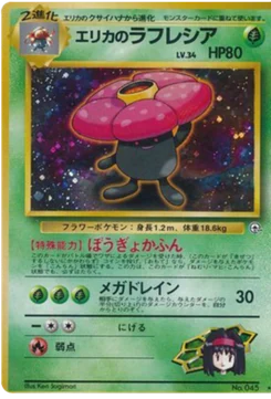 Rafflesia de Erika 014/096 Leaders' Stadium · Gym Heroes (リーダーズスタジアム)