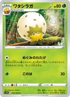 Blancoton 5/60 Shield