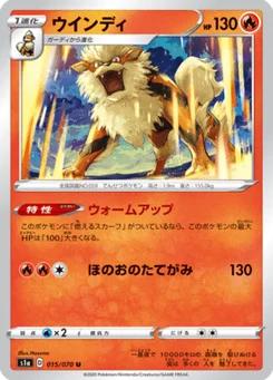 Arcanin 15/70 VMAX Rising