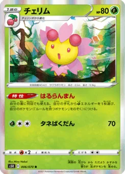 Ceriflor 6/70 Rapid Strike Master