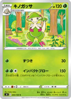 Chapignon 5/100 Fusion Arts