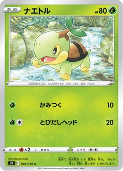 Tortipouss 6/124 Star Birth