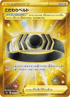 Ceinture Choix 92/90 Battle Region