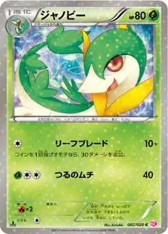 Lianaja 2/20 Shiny Collection