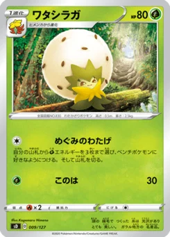 Blancoton 9/127 V Starter Decks