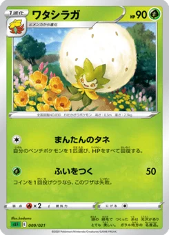 Blancoton 9/21 Venusaur VMAX Starter Set