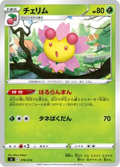 Ceriflor 16/427 Starter Decks 100