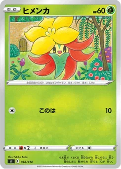 Tournicoton 38/427 Starter Decks 100