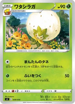 Blancoton 39/427 Starter Decks 100