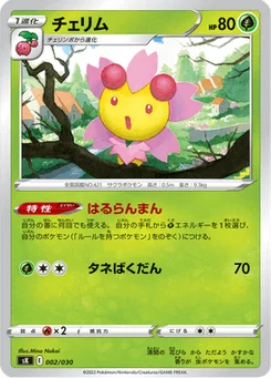 Ceriflor 2/30 VSTAR Premium Trainer Box