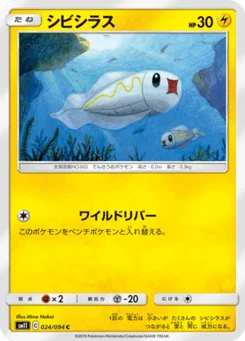 Anchwatt 24/94 Miracle Twin
