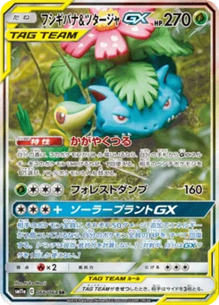 Venusaur & Snivy-GX 66/64 Remix Bout