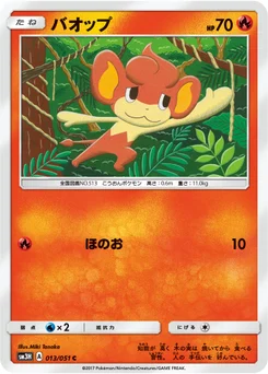 Flamajou 13/49 Did You See The Fighting Rainbow