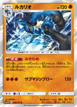 Lucario 28/49 Did You See The Fighting Rainbow