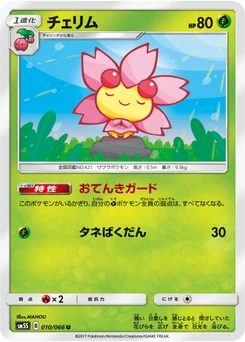Ceriflor 10/66 Ultra Sun
