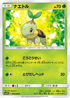 Tortipouss 5/66 Ultra Sun