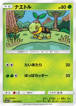 Tortipouss 6/66 Ultra Sun