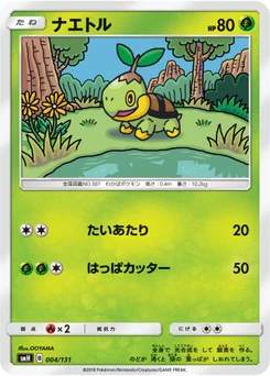 Tortipouss 4/131 GX Starter Decks