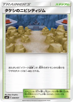 Brock's Pewter City Gym 30/31 Brock & Misty Trainer Battle Decks