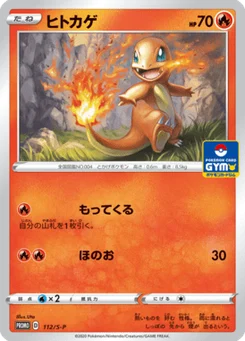 Salamèche 112/300 Sword & Shield Promotional Cards