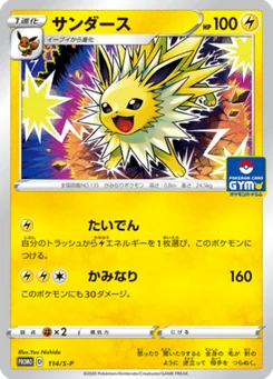 Voltali 114/300 Sword & Shield Promotional Cards