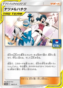 Morgane et Zhu 142/300 Sword & Shield Promotional Cards