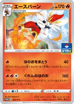 Pyrobut 22/300 Sword & Shield Promotional Cards