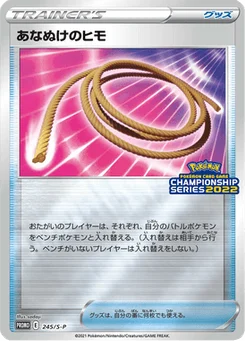 Corde Sortie 245/300 Sword & Shield Promotional Cards