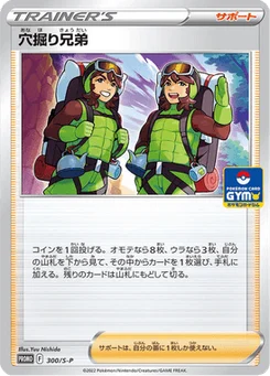 Trou Brothers 300/300 Sword & Shield Promotional Cards