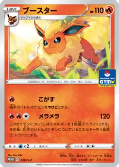 Pyroli 38/300 Sword & Shield Promotional Cards