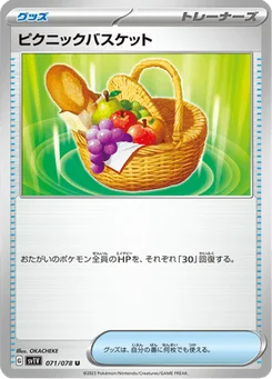 Panier de Pique-Nique 71/78 Violet ex