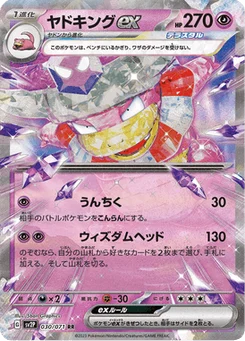 Roigada-ex 30/71 Snow Hazard