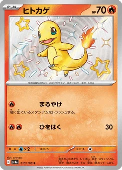 Salamèche 210/190 Shiny Treasure ex