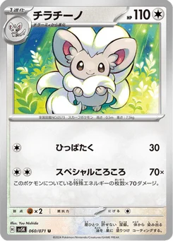 Pashmilla 60/71 Wild Force