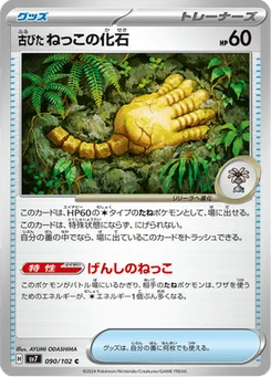 Fossile Racine Ancien 90/102 Stellar Miracle