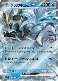 Kyurem Noir-ex 11/64 Paradise Dragona